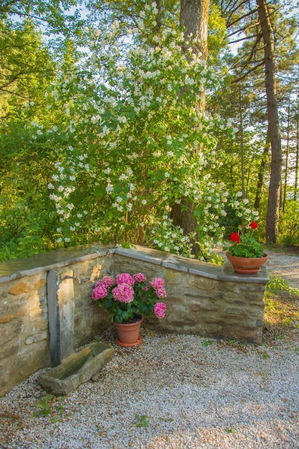 Il Ginepro Villa Cortona Ngoại thất bức ảnh